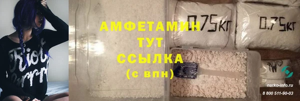 соль ск Михайлов