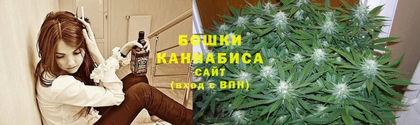 прущие грибы Алексеевка